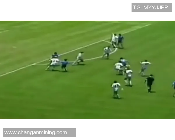 全球足球场上的美丽风景：盘点五位知名美女球星与她们的传奇故事