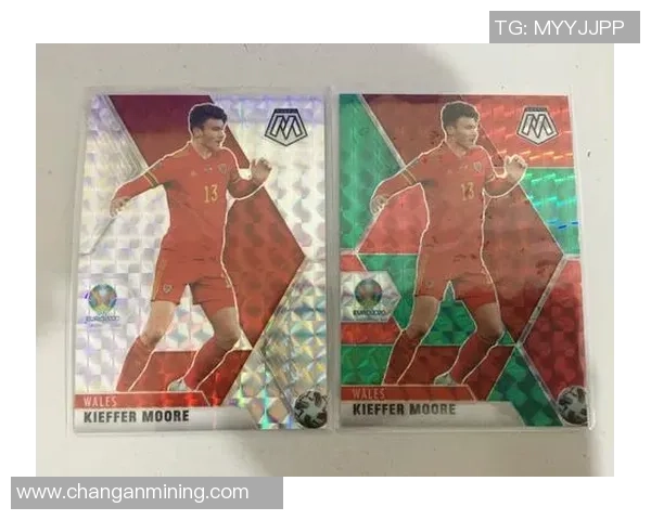 帕尼尼足球球星卡紫卡收藏价值解析及市场走势分析 帕尼尼足球球星卡紫卡收藏价值解析及市场走势分析