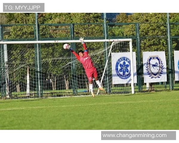 深圳队足球球星风采：从绿茵场到赛后荣耀，见证足球梦想的成长与蜕变