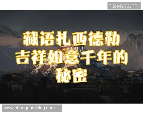 藏语球迷必看 全球足球球星名字藏语翻译大全